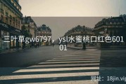 三叶草gw6797，ysl水蜜桃口红色60101