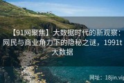 【91网聚焦】大数据时代的新观察：网民与商业角力下的隐秘之谜，1991t大数据