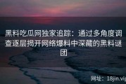 黑料吃瓜网独家追踪：通过多角度调查逐层揭开网络爆料中深藏的黑料谜团