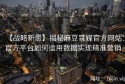 【战略新思】揭秘麻豆官媒官方网站：官方平台如何运用数据实现精准营销