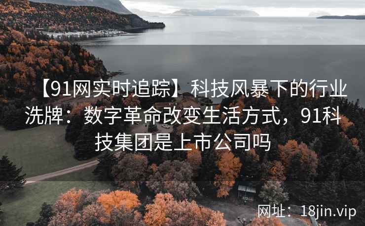 【91网实时追踪】科技风暴下的行业洗牌：数字革命改变生活方式，91科技集团是上市公司吗