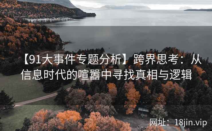 【91大事件专题分析】跨界思考：从信息时代的喧嚣中寻找真相与逻辑