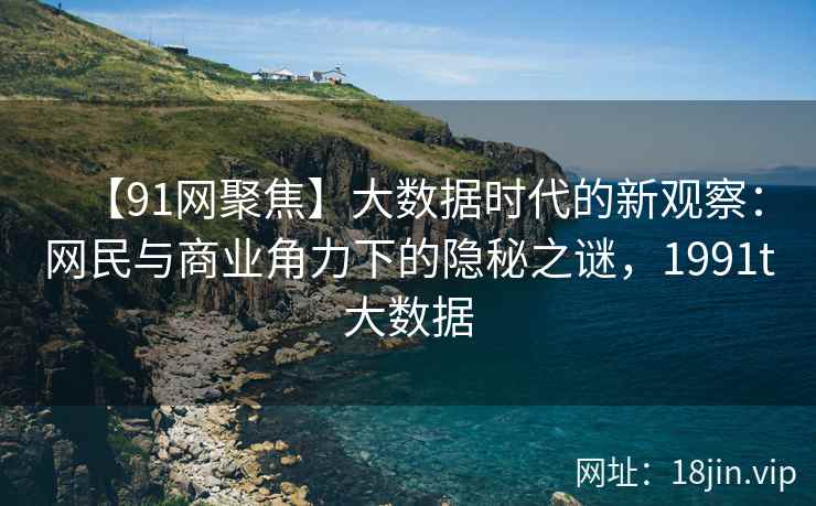 【91网聚焦】大数据时代的新观察：网民与商业角力下的隐秘之谜，1991t大数据