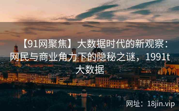 【91网聚焦】大数据时代的新观察：网民与商业角力下的隐秘之谜，1991t大数据